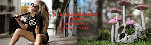 дживик Навашино