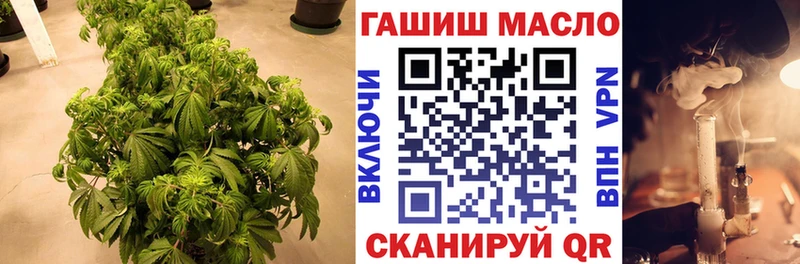 гидра tor  Малаховка  ТГК жижа 